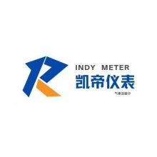 天津市凱帝精密儀表第一店鋪