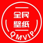 全道VIP壁纸