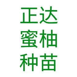 福建省平和县正达蜜柚种苗